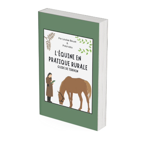 Le Carnet d'Équine