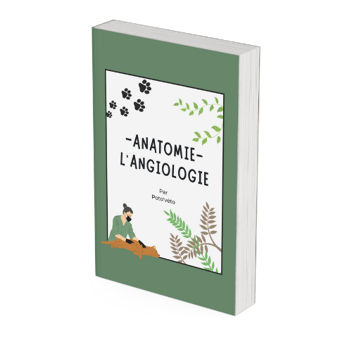 Le carnet d'Angiologie