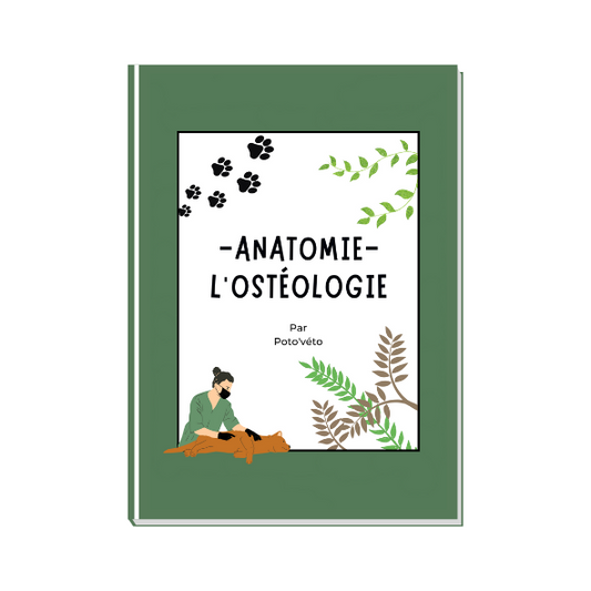 Le Carnet d'Ostéologie