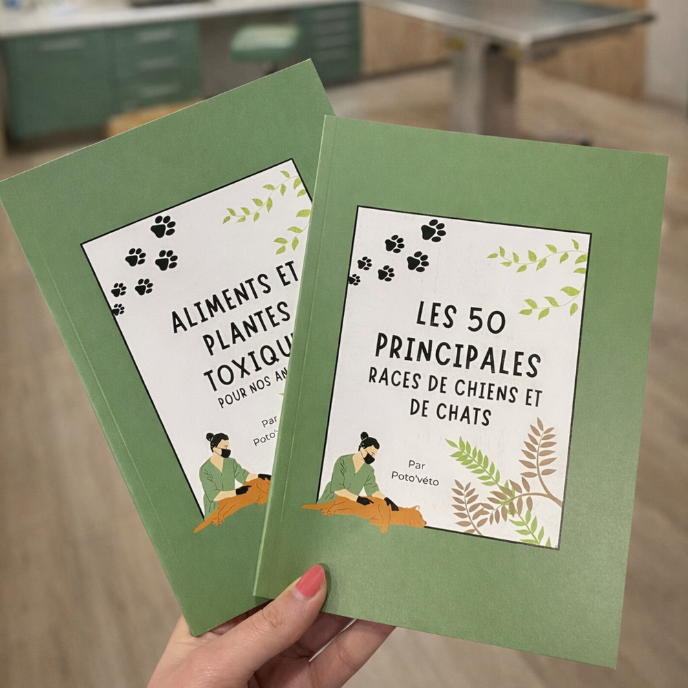 PACK DESTOCKAGE -40% !