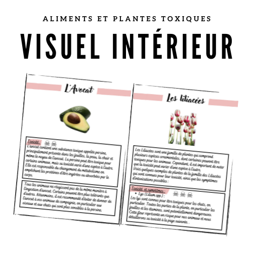 Les Aliments & Plantes Toxiques