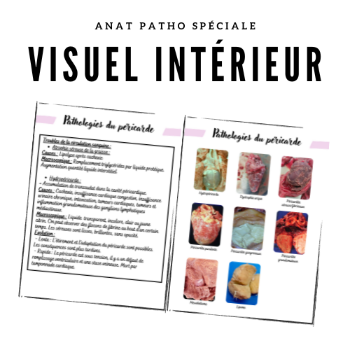 PACK ANATOMIE PATHOLOGIQUE