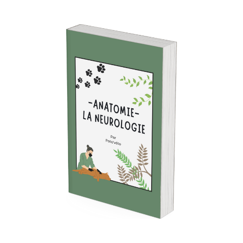 Le Carnet de Neurologie