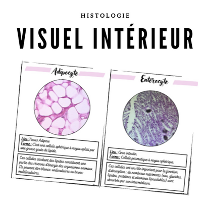 Le Carnet d'Histologie