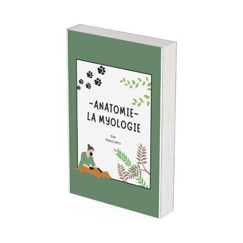 Le Carnet de Myologie