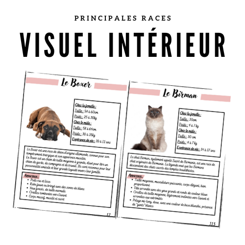 Les Principales Races de Chiens et Chats