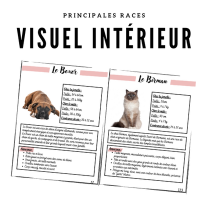 Les Principales Races de Chiens et Chats