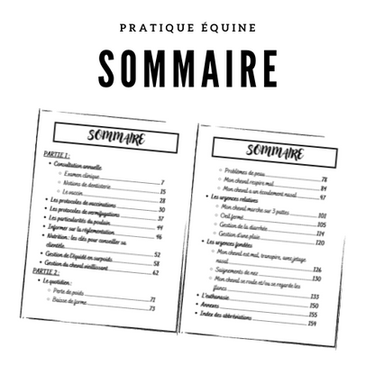 Le Carnet d'Équine