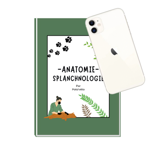 Le Carnet de Splanchnologie